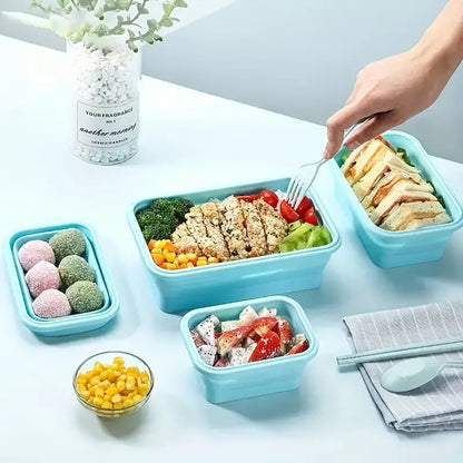 Foldable Silicone Lunch Box(Pack of 4)